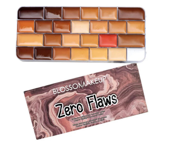 BLOSSOM MAKEUPS ZERO FLAWS CONCEALER PALETTE